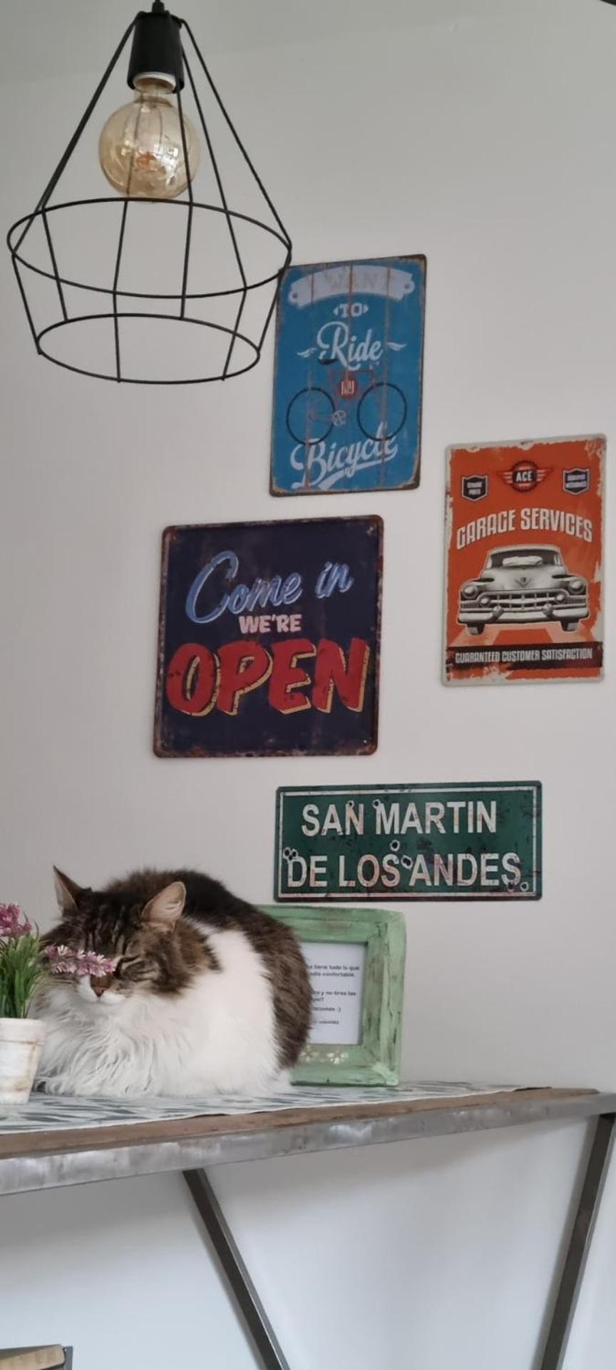 Walueng San Martin de los Andes